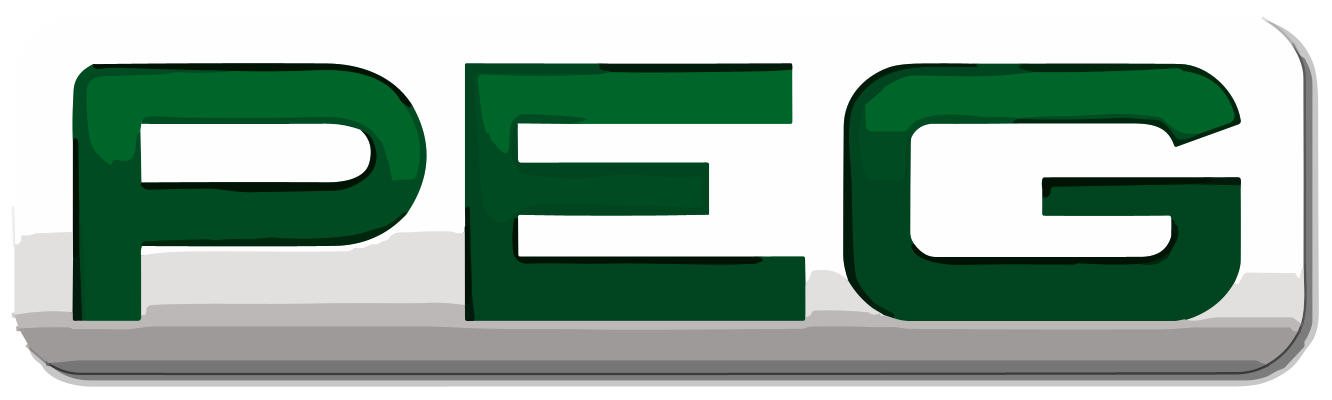 Progetti Europa & Global S.p.A. logo